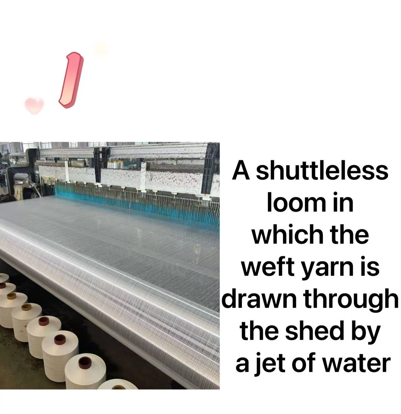 20250219135132 20250219135132